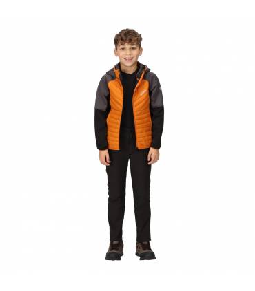 Chaqueta Regatta Kielder Hybrid para niño