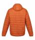 Chaqueta Regatta Hooded Hillpack Fibra sintetica