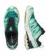 Zapatilla Trail Mujer Salomon XA PRO 3D V9 GORE-TEX