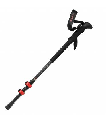 Altus Acebo H30 Par de Bastones