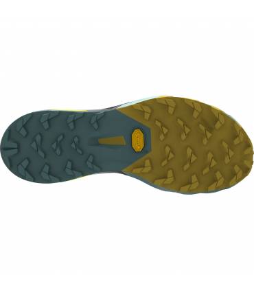 Zapatilla trail Running Dynafit Alpine Pro 2 2025