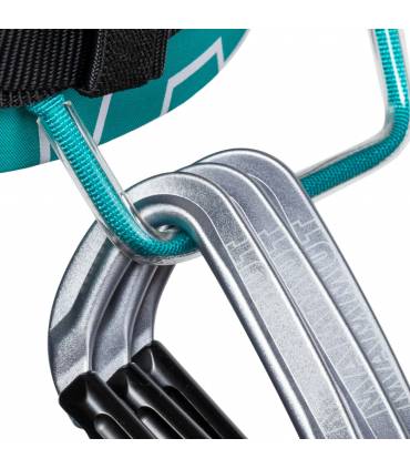 Arnes Mammut 4 Slides