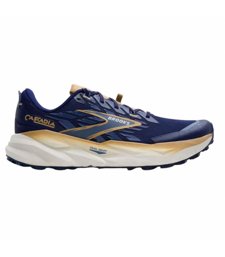 Brooks Cascadia...