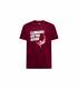 La Sportiva Moon Rock T-Shirt Hombre Redwood/Chalk outlet
